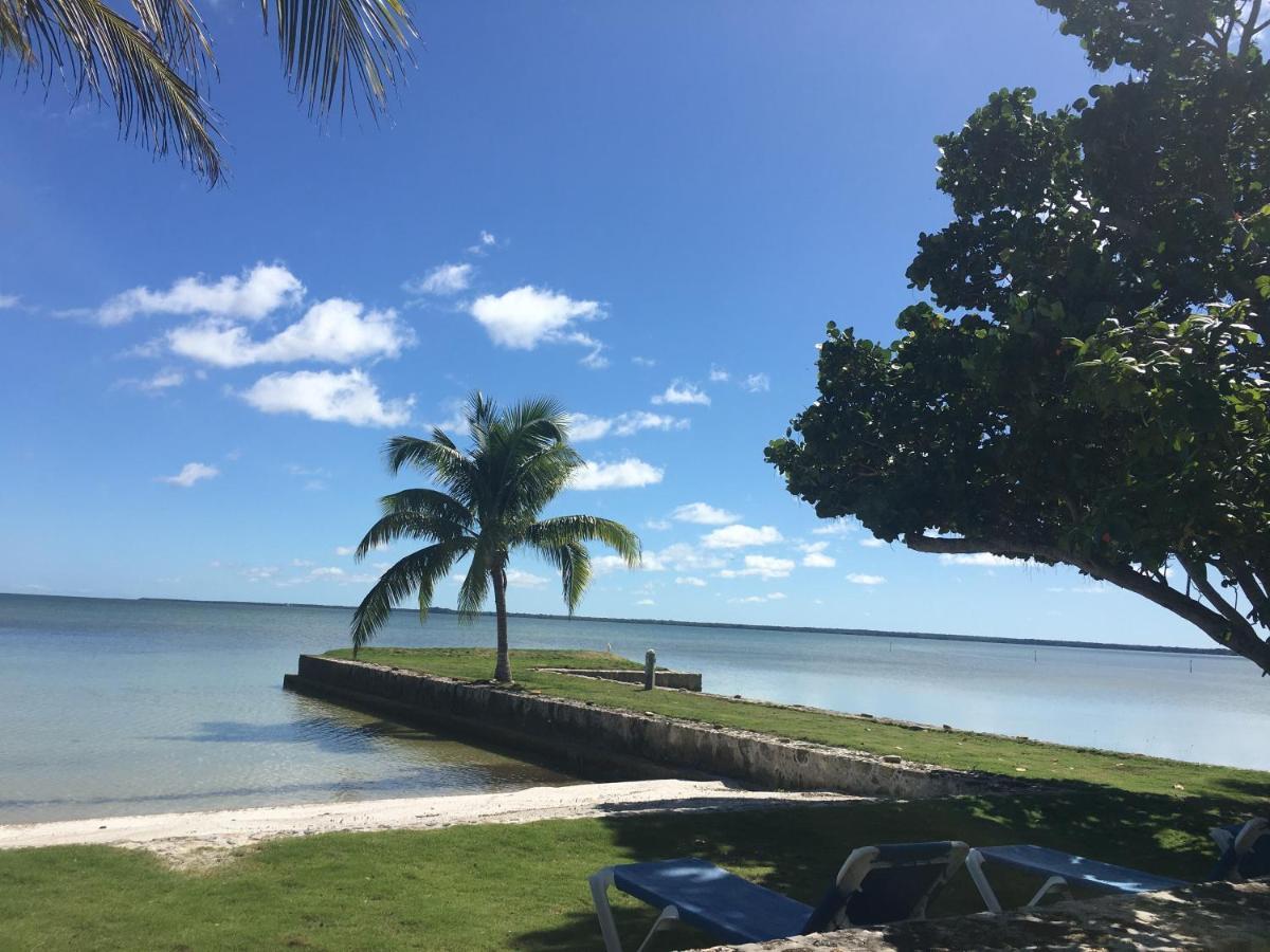 Almond Tree Hotel Resort Corozal Exterior foto